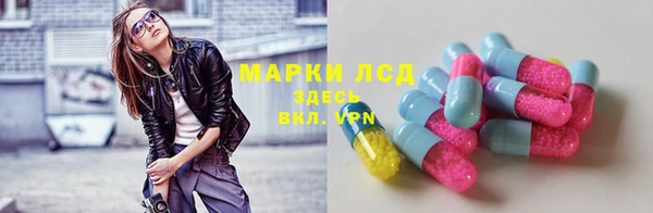 сатива Алзамай